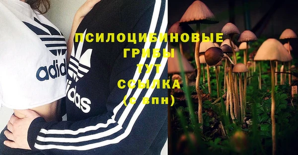 mix Алексин