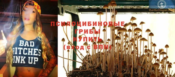 мескалин Алексеевка